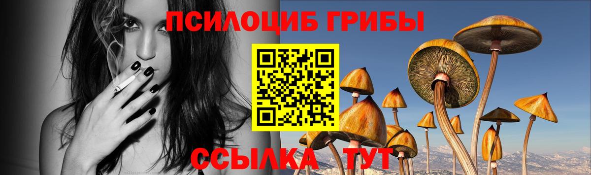 Нерюнгри  Псилоцибиновые грибы ЛСД  Псилоцибиновые грибы Psilocybine cubensis  Вход с VPN 